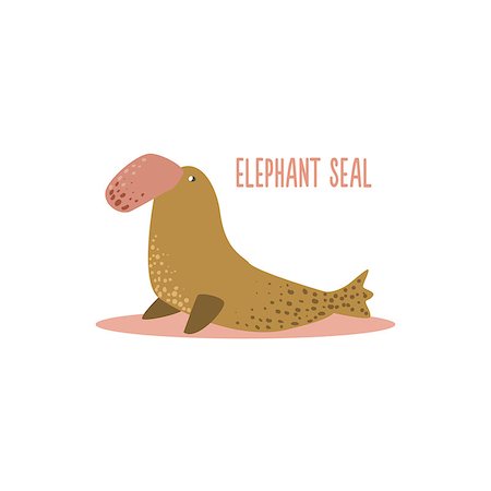 simsearch:400-08507283,k - Elephant Seal Drawing For Arctic Animals Collection Of Flat Vector Illustration In Creative Style On White Background Fotografie stock - Microstock e Abbonamento, Codice: 400-08507252