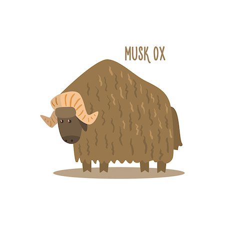 simsearch:400-08507283,k - Musk Ox Drawing For Arctic Animals Collection Of Flat Vector Illustration In Creative Style On White Background Fotografie stock - Microstock e Abbonamento, Codice: 400-08507264