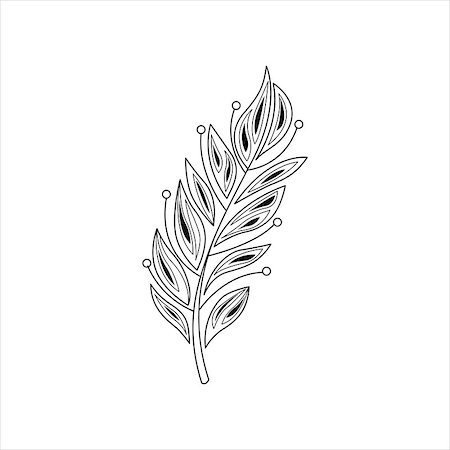 Vaned Feather Hand Drawn Vector Design Zentangle Print For Coloring Book Stock Photo - Budget Royalty-Free & Subscription, Code: 400-08507610