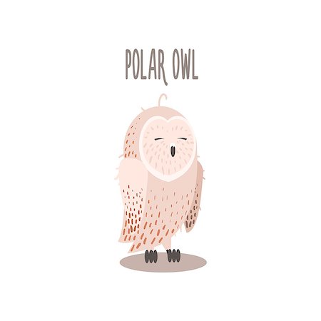 simsearch:400-08507283,k - Polar Owl Drawing For Arctic Animals Collection Of Flat Vector Illustration In Creative Style On White Background Fotografie stock - Microstock e Abbonamento, Codice: 400-08507663