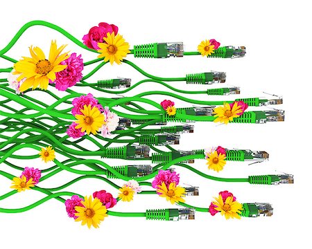 fiber cable - Computer cables with flowers isolated on white background. 3D illustration Stock Photo - Budget Royalty-Free & Subscription, Code: 400-08507879