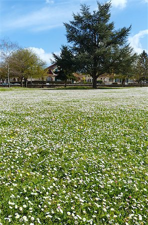 saumur - Saumur town spring view with blossoming lawn (France). Stock Photo - Budget Royalty-Free & Subscription, Code: 400-08508564