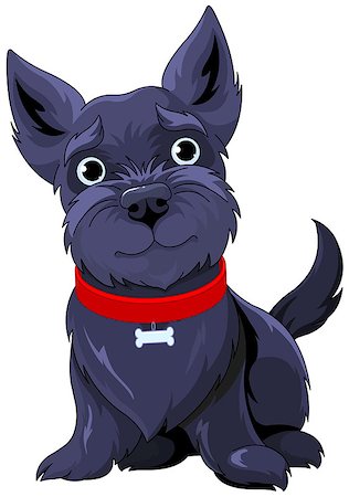 simsearch:400-08786583,k - Illustration of very cute Scotch Terrier Foto de stock - Super Valor sin royalties y Suscripción, Código: 400-08508600