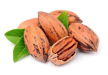 simsearch:400-04377067,k - Pecan nuts with leaves close up on white background Stock Photo - Budget Royalty-Free & Subscription, Code: 400-08500439