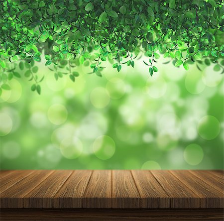 simsearch:400-09068018,k - 3D render of a wooden deck looking out to a green leaves background Stock Photo - Budget Royalty-Free & Subscription, Code: 400-08500959