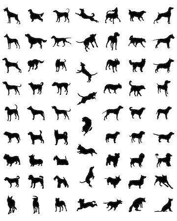 retriever silhouette - Black silhouettes of different races of dogs, vector Stock Photo - Budget Royalty-Free & Subscription, Code: 400-08501358