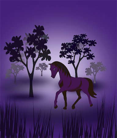 It is night, and the horse is out alone in the forest. Stock Photo - Budget Royalty-Free & Subscription, Code: 400-08501401