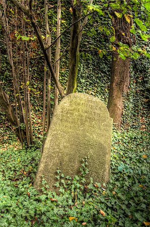 The Old Jewish cemetery at Kolin - one of the oldest landmarks of that kind in Bohemia. The beginning of the cemetery dates back to the 15th century. The oldest tombstones  are from 1492. There are over 2600 tombstones on the cemetery. For example: tombstone of Becalel, son of Jehuda Low. Kolín, Czech republic, Europe. Stock Photo - Budget Royalty-Free & Subscription, Code: 400-08502267