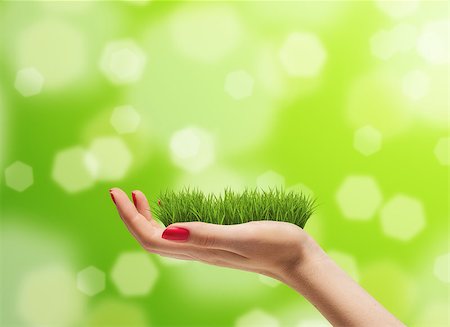 simsearch:400-05744585,k - Young woman hand with fresh green grass on it. Concern for the environment concept Stock Photo - Budget Royalty-Free & Subscription, Code: 400-08502492