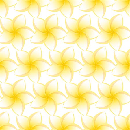 simsearch:400-08754428,k - seamless yellow plumeria isolated on white background. vector illustration Stock Photo - Budget Royalty-Free & Subscription, Code: 400-08503932