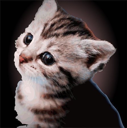 Happy kitten Stock Photo - Budget Royalty-Free & Subscription, Code: 400-08528829