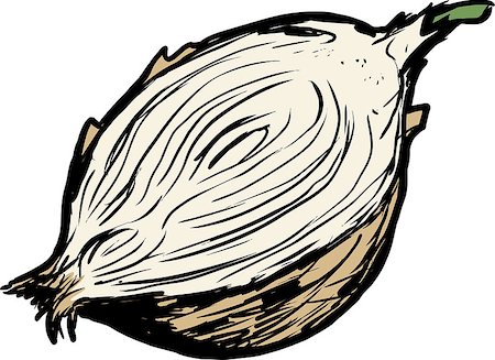 simsearch:400-08528929,k - Hand drawn single raw white onion cut in half over white background Foto de stock - Royalty-Free Super Valor e Assinatura, Número: 400-08528929