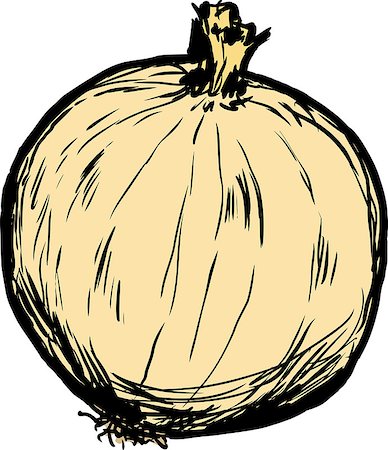 simsearch:400-08528929,k - Hand drawn single raw white onion with skin cartoon over white background Foto de stock - Royalty-Free Super Valor e Assinatura, Número: 400-08528931