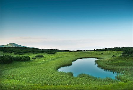 simsearch:400-05716648,k - Morning near small mountainous pond. Carpathians. Ukraine Photographie de stock - Aubaine LD & Abonnement, Code: 400-08529105