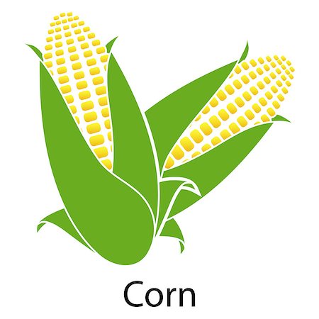 Corn icon on white background. Vector illustration. Stock Photo - Budget Royalty-Free & Subscription, Code: 400-08530126