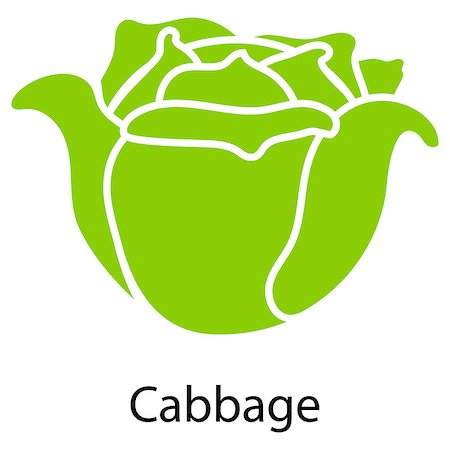 pic of cabbage for drawing - Cabbage icon on white background. Vector illustration. Stock Photo - Budget Royalty-Free & Subscription, Code: 400-08530120