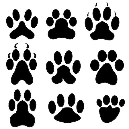 simsearch:400-04327046,k - Paw Prints Silhouettes Isolated on White Background Photographie de stock - Aubaine LD & Abonnement, Code: 400-08530834