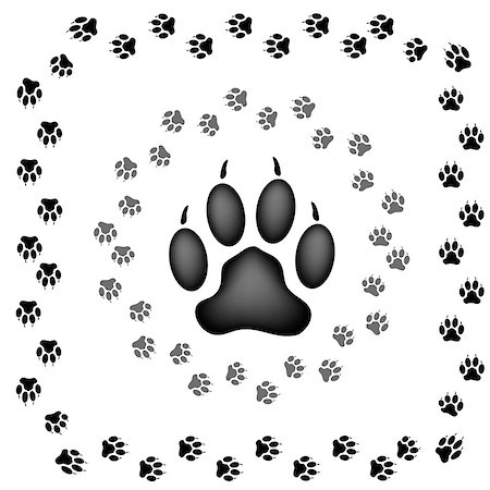 simsearch:400-04327046,k - Animal Paw Prints Isolated on White Background Photographie de stock - Aubaine LD & Abonnement, Code: 400-08530837