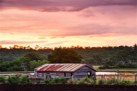 simsearch:400-07634358,k - Old abandoned farming shed near Mount Walker in Queensland. Foto de stock - Super Valor sin royalties y Suscripción, Código: 400-08531283