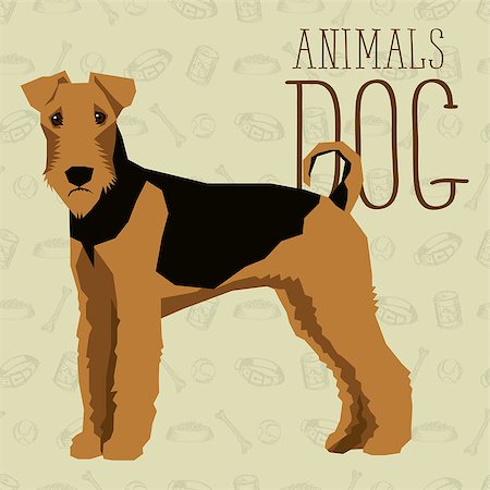 Vector geometric dogs collection with seamless background. Airedale Terrier Stockbilder - Microstock & Abonnement, Bildnummer: 400-08531449