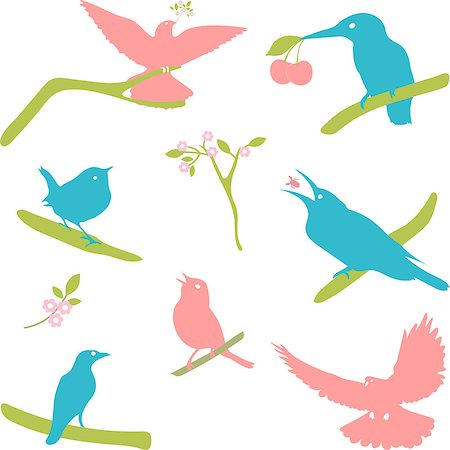 Vector Collection of Bird Silhouettes, colored silhouettes Stock Photo - Budget Royalty-Free & Subscription, Code: 400-08532963