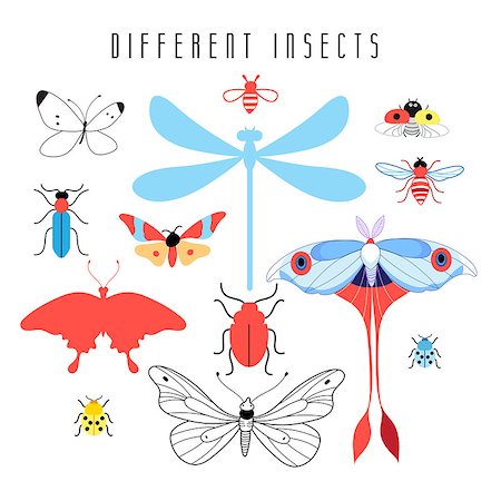 simsearch:400-06452474,k - Set of different colored insects on a white background Stockbilder - Microstock & Abonnement, Bildnummer: 400-08533626