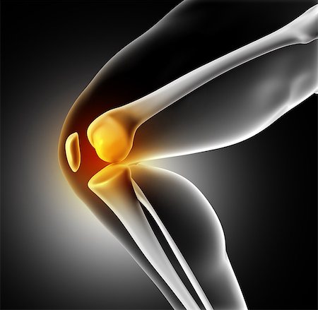 simsearch:400-08647675,k - 3D render of a medical image of close up of knee joint Stockbilder - Microstock & Abonnement, Bildnummer: 400-08533820