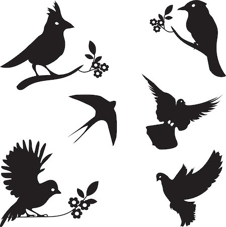 swallow bird not people not africa not antartica not japan not china - Vector Collection of Bird Silhouettes, colored silhouettes Stock Photo - Budget Royalty-Free & Subscription, Code: 400-08533934