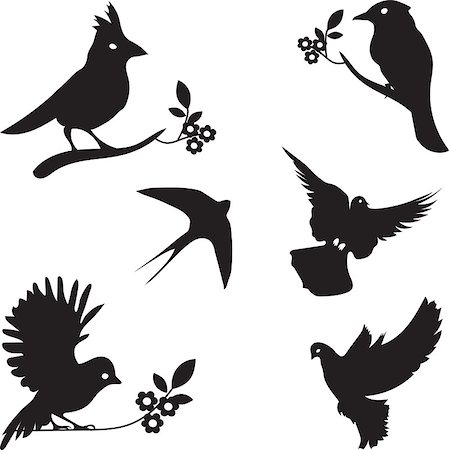 Vector Collection of Bird Silhouettes, colored silhouettes Foto de stock - Super Valor sin royalties y Suscripción, Código: 400-08533934