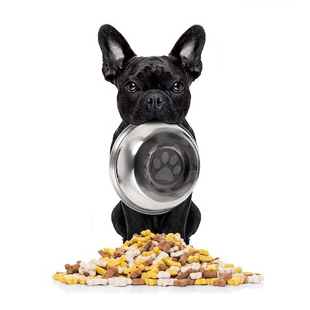 hungry  french bulldog  dog holding bowl with mouth  behind food mound , isolated on white background Stock Photo - Budget Royalty-Free & Subscription, Code: 400-08554027