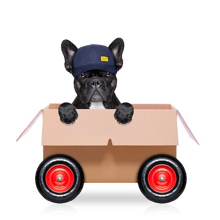 mail  delivery  french bulldog dog in a big moving box on wheels  , isolated on white background Stock Photo - Budget Royalty-Free & Subscription, Code: 400-08554030