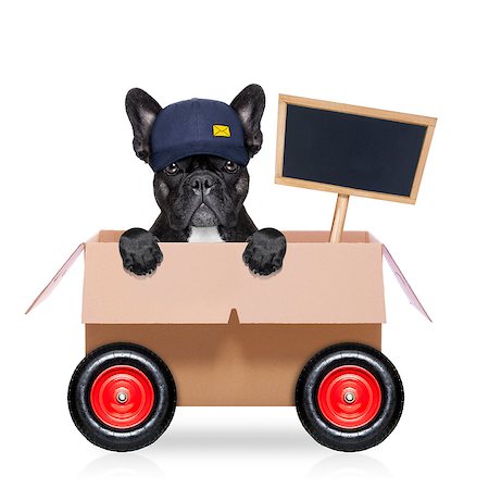 mail  delivery  french bulldog dog in a big moving box on wheels  with blank placard or blackboard, isolated on white background Stock Photo - Budget Royalty-Free & Subscription, Code: 400-08554421