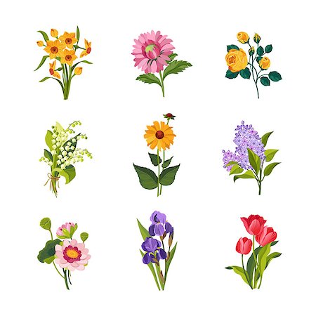 Garden Flowers Hand Drawn Vector Design Collection Of Separated Icons In Realistic Style Foto de stock - Royalty-Free Super Valor e Assinatura, Número: 400-08554454