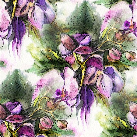 simsearch:400-08290626,k - Seamless pattern with purple flowers on a white background. Drawing ink and watercolor. Stock Photo - Budget Royalty-Free & Subscription, Code: 400-08555445