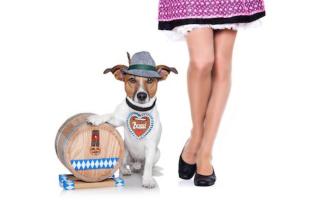 simsearch:628-05817221,k - jack russell dog with beer barrel and gingerbread heart and owner , isolated on white background Foto de stock - Super Valor sin royalties y Suscripción, Código: 400-08555894