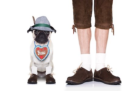 simsearch:400-08163219,k - pug  dog with  gingerbread heart and bavarian owner ,isolated on white background Photographie de stock - Aubaine LD & Abonnement, Code: 400-08555900