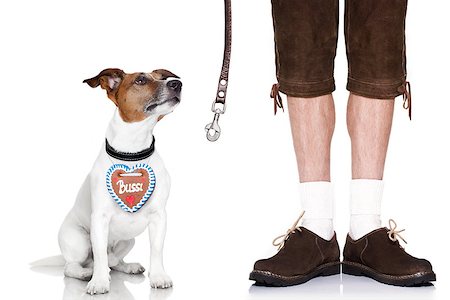 simsearch:628-05817221,k - jack russell dog with leather leash ,gingerbread heart and  bavarian owner , isolated on white background Foto de stock - Super Valor sin royalties y Suscripción, Código: 400-08555919