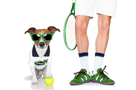 simsearch:400-08158292,k - jack russell dog with owner as tennis player with ball and tennis racket or racquet isolated on white background Fotografie stock - Microstock e Abbonamento, Codice: 400-08555920