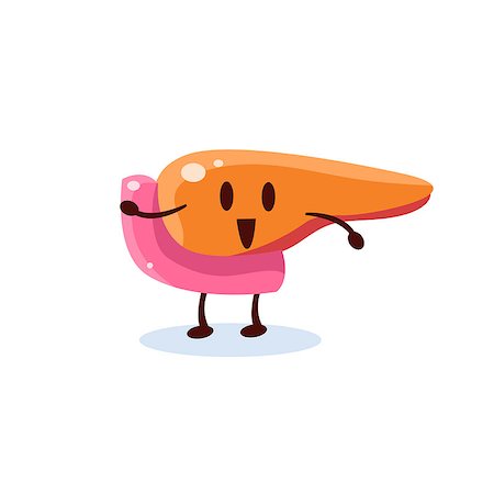 Liver And Bowels Primitive Style Cartoon Character In Flat Childish Vector Design Illustration Isolated On White Background Stock Photo - Budget Royalty-Free & Subscription, Code: 400-08556392