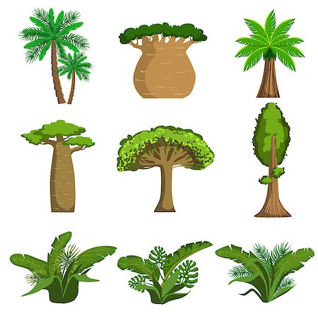 Jungle Trees And Plants Set Of Simple Style Flat Vector Illustrations On White Background Photographie de stock - Aubaine LD & Abonnement, Code: 400-08556906