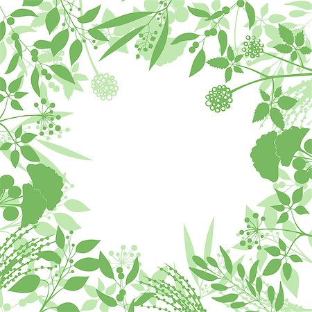 Green square background with collection of plants. Silhouette of herbs branches isolated on white background Foto de stock - Super Valor sin royalties y Suscripción, Código: 400-08550995