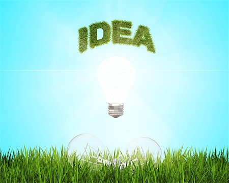 simsearch:400-07464142,k - Glowing light bulb with the word idea over a field of fresh green grass, which are 2 more bulbs. Foto de stock - Super Valor sin royalties y Suscripción, Código: 400-08551400