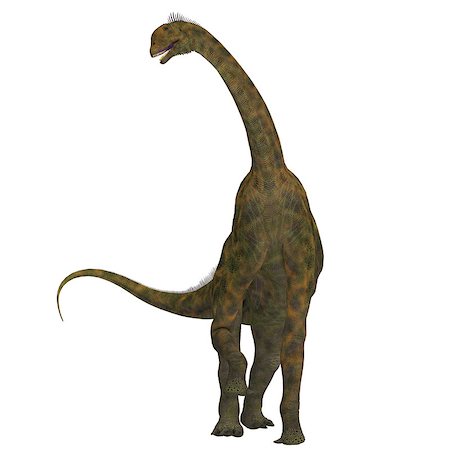 simsearch:400-08332007,k - Atlasaurus was a large herbivorous dinosaur that lived in the Jurassic Period of Morocco, North Africa. Foto de stock - Super Valor sin royalties y Suscripción, Código: 400-08551804