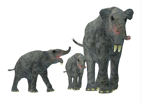 Deinotherium was an enormous land mammal that lived in Asia, Africa and Europe during the Miocene to Pleistocene Periods. Stock Photo - Budget Royalty-Free & Subscription, Code: 400-08551805