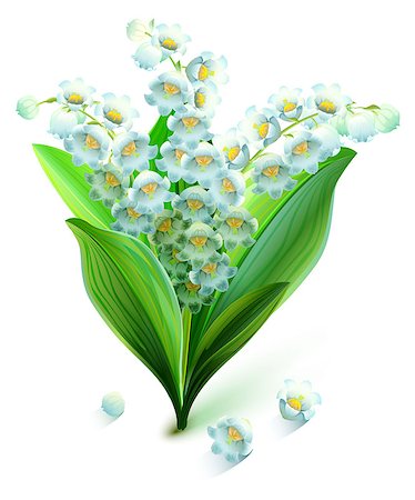 simsearch:400-07656811,k - Flower lily valley. Bouquet lily of valley. Isolated on white vector illustration Photographie de stock - Aubaine LD & Abonnement, Code: 400-08551976