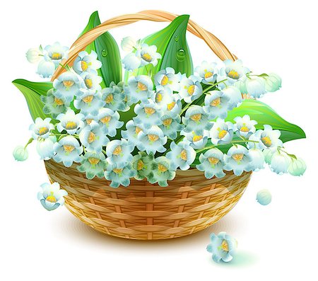 Wicker Basket of flowers. Flower lily valley. Bouquet lily of valley. Isolated on white vector illustration Foto de stock - Royalty-Free Super Valor e Assinatura, Número: 400-08552060