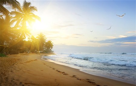 simsearch:400-07039613,k - Coast of Indian ocean at sunset, Sri Lanka Stock Photo - Budget Royalty-Free & Subscription, Code: 400-08552617