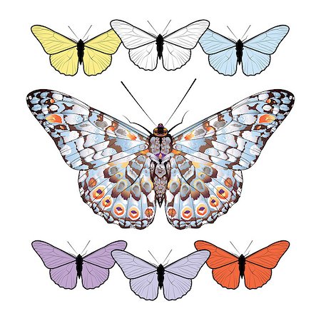 simsearch:400-08706648,k - Set of butterflies isolated on white background. Vector illustration. Foto de stock - Royalty-Free Super Valor e Assinatura, Número: 400-08552690