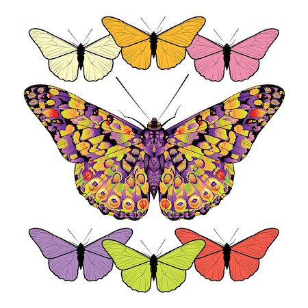 simsearch:400-05887739,k - Set of butterflies isolated on white background. Vector illustration. Stock Photo - Budget Royalty-Free & Subscription, Code: 400-08552691