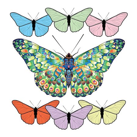 simsearch:400-05887739,k - Set of butterflies isolated on white background. Vector illustration. Stock Photo - Budget Royalty-Free & Subscription, Code: 400-08552692